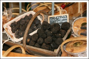 Perigordine Truffle